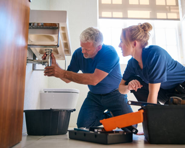 Best Sewer Line Repair  in Gray, TN