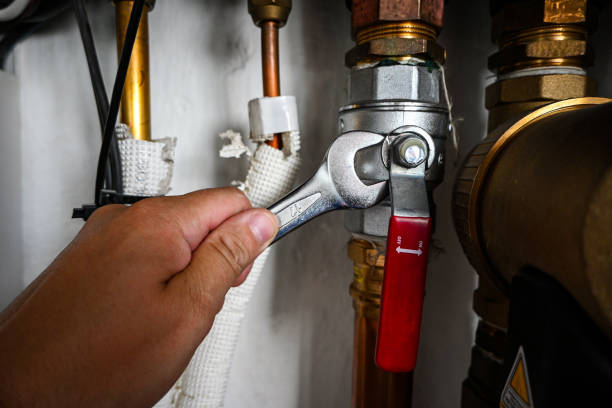 Best Local Plumber Services  in Gray, TN